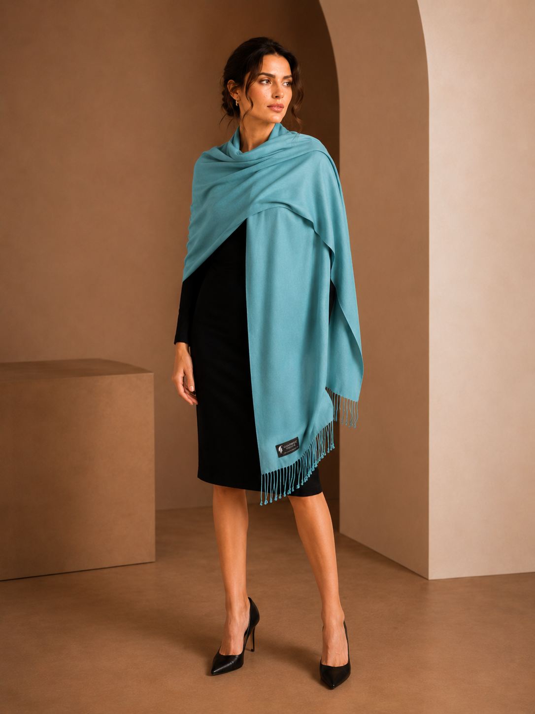 Pashmina and Silk Wrap